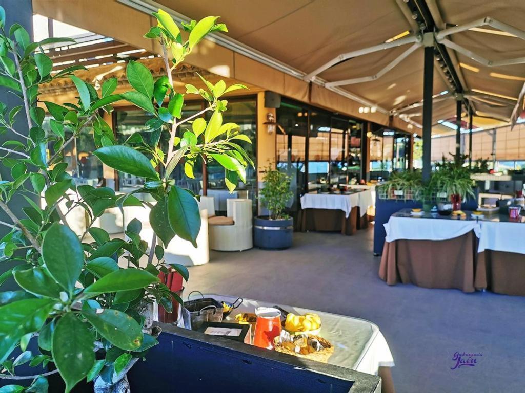 Hotel Campos De Баэса Экстерьер фото